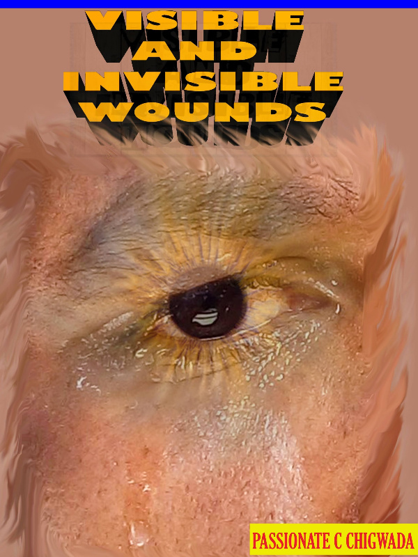 VISIBLE AND INVISIBLE WOUNDS