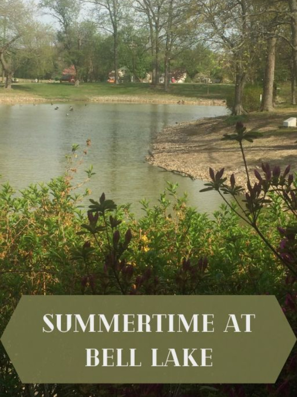 Summertime at Bell Lake